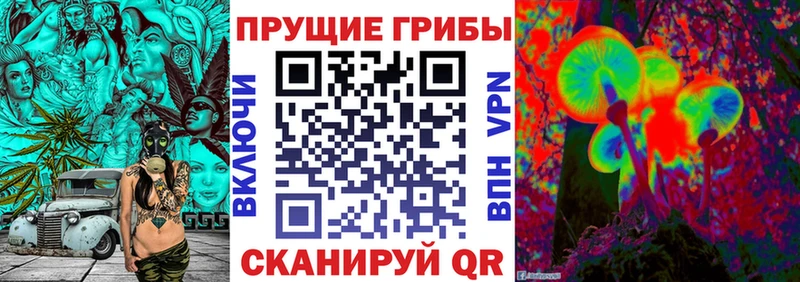 Галлюциногенные грибы ЛСД KRAKEN как зайти Архангельск где можно купить